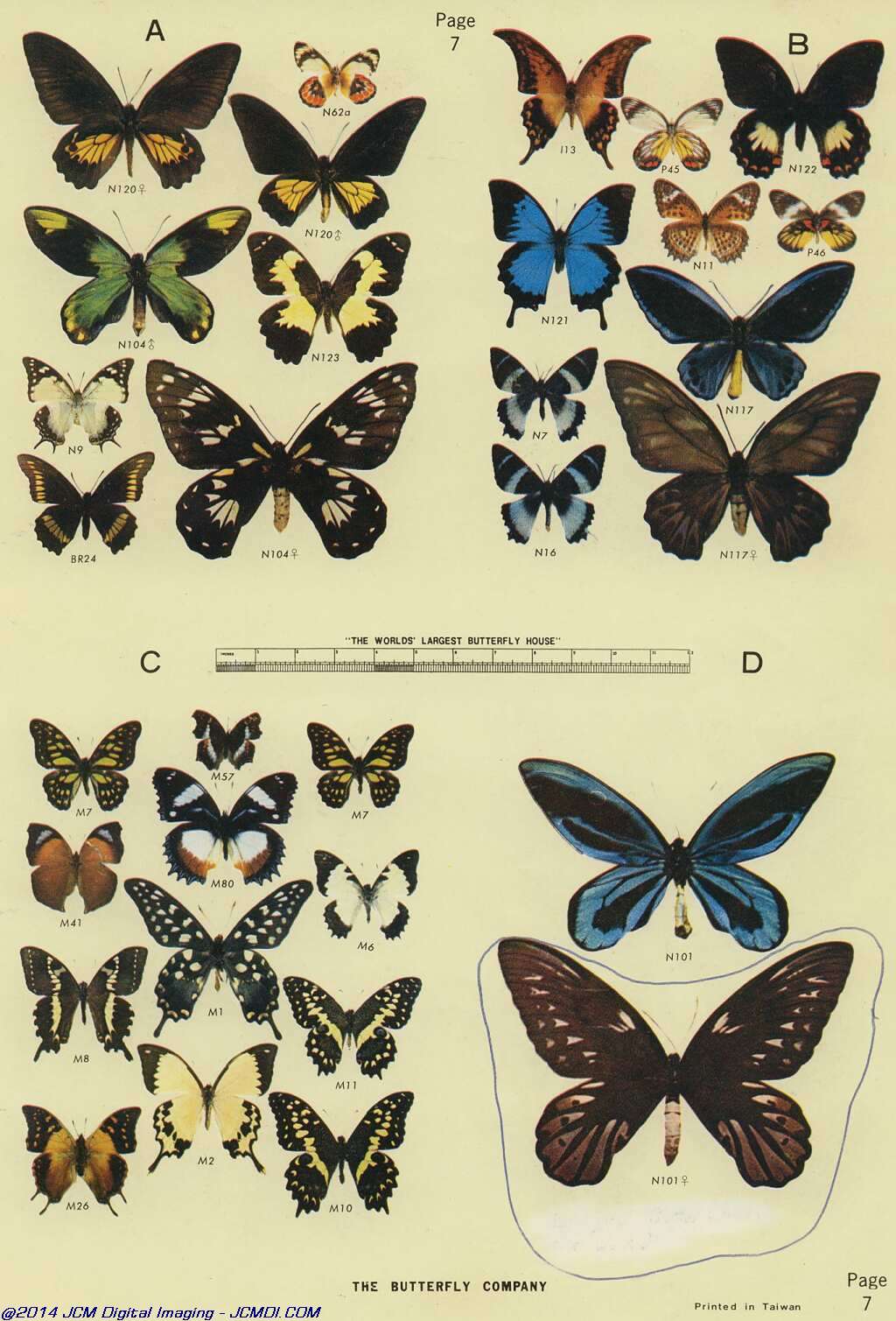 The Butterfly Company (NY) 18 page catalog 1976